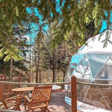 Medve Dome - Luxury Camping In The Middle Of Nature Hotel เวเลซา ภายนอก รูปภาพ