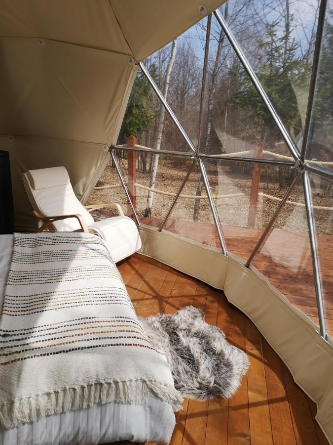 Medve Dome - Luxury Camping In The Middle Of Nature Hotel เวเลซา ภายนอก รูปภาพ