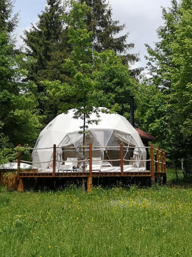 Medve Dome - Luxury Camping In The Middle Of Nature Hotel เวเลซา ภายนอก รูปภาพ