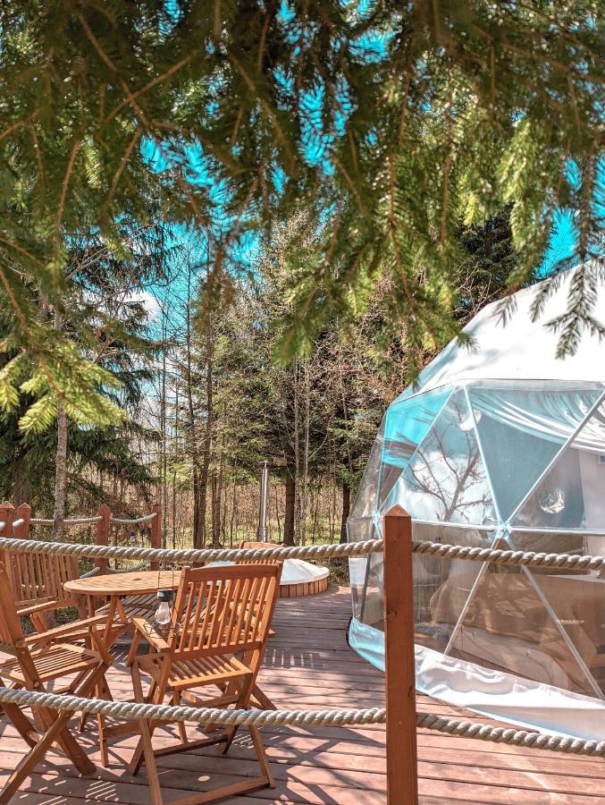 Medve Dome - Luxury Camping In The Middle Of Nature Hotel เวเลซา ภายนอก รูปภาพ